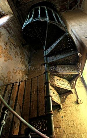 Newsome Spiral sm.jpg